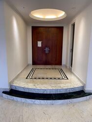 Four Seasons Park (D10), Condominium #599641211